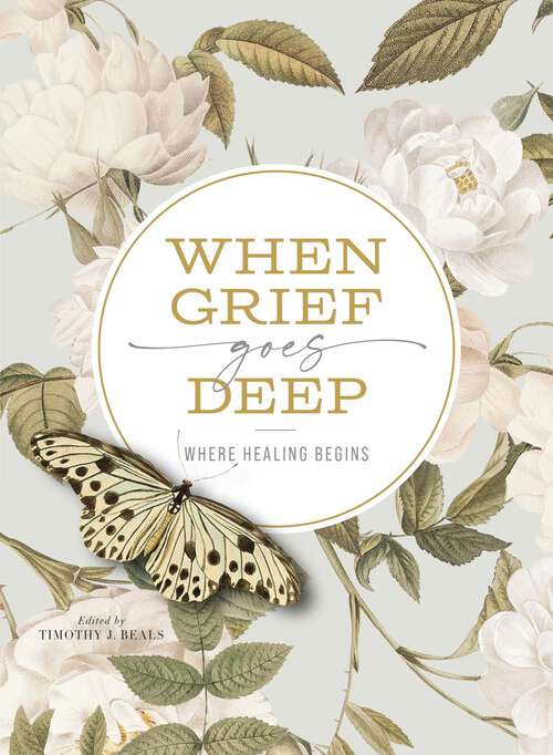 Book cover of When Grief Goes Deep: Where Healing Begins