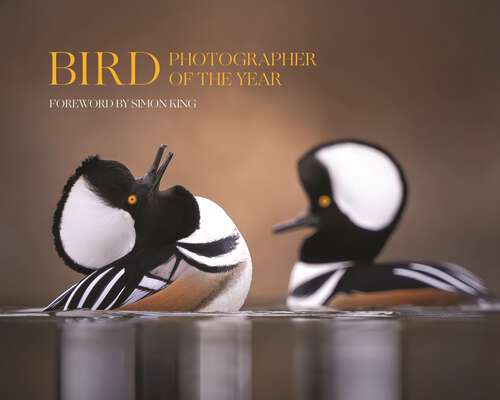 Book cover of Bird Photographer of the Year: Collection 9