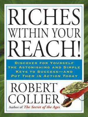 Book cover of Riches Within Your Reach!