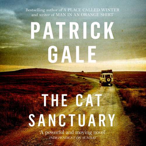 Book cover of The Cat Sanctuary