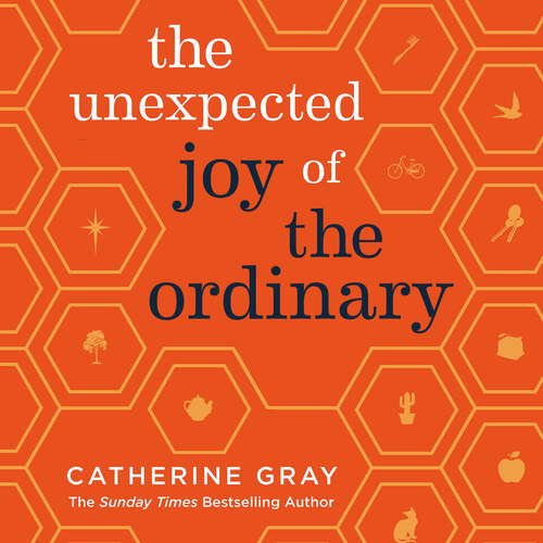 Book cover of The Unexpected Joy of the Ordinary