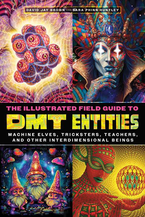 Book cover of The Illustrated Field Guide to DMT Entities: Machine Elves, Tricksters, Teachers, and Other Interdimensional Beings