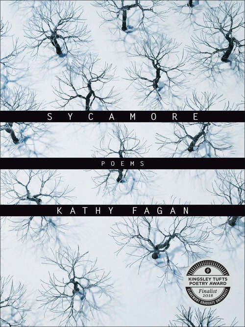 Book cover of Sycamore: Poems