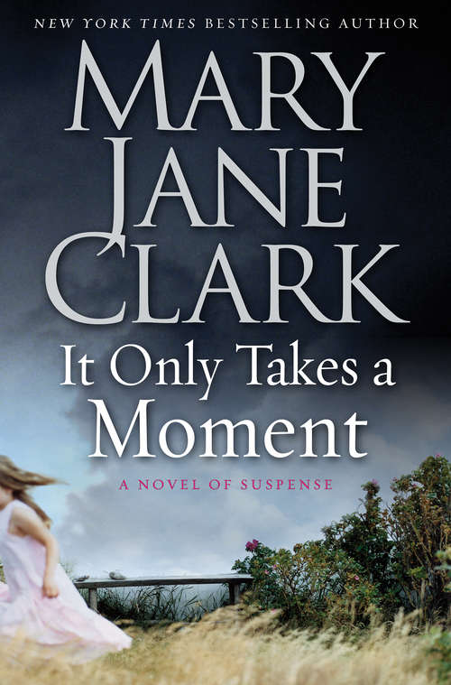 Book cover of It Only Takes a Moment