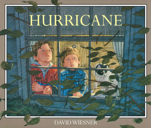 Book cover of Hurricane