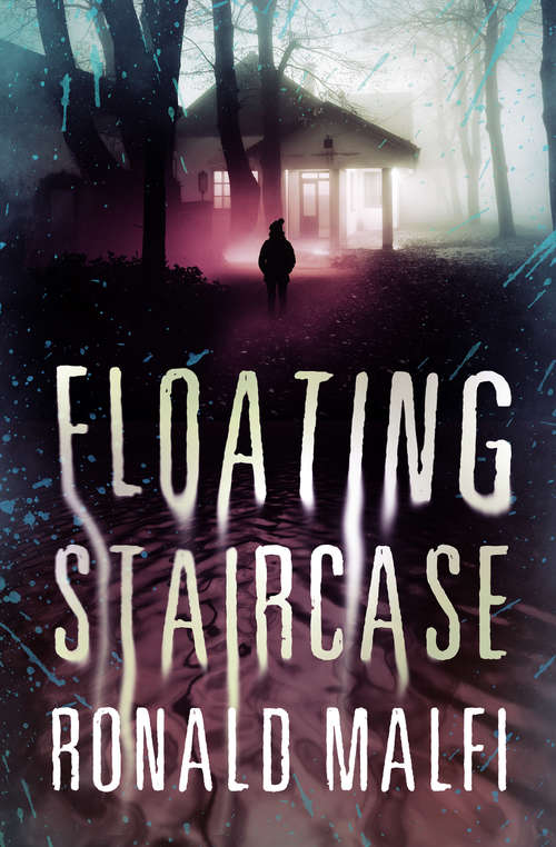 Book cover of Floating Staircase