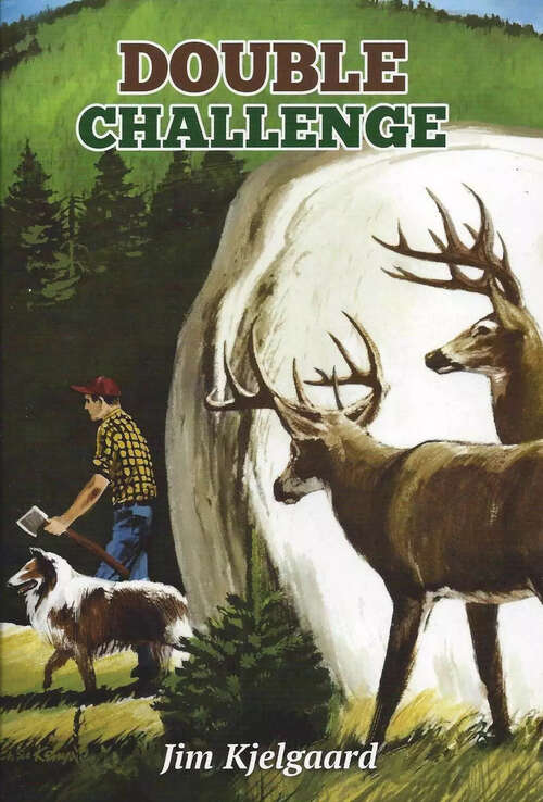 Book cover of Double Challenge