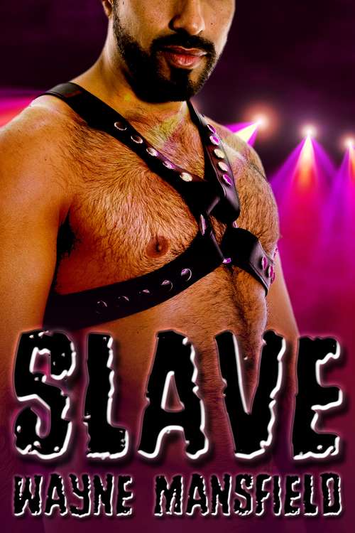 Book cover of Slave