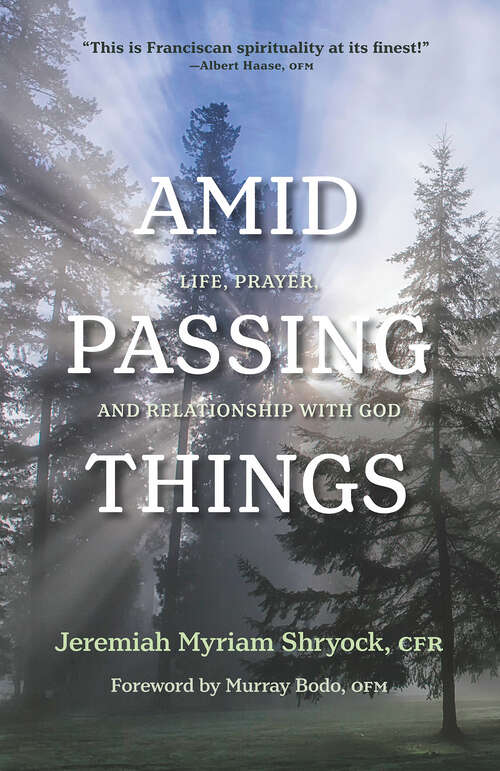 Book cover of Amid Passing Things: Life, Prayer, and Relationship with God