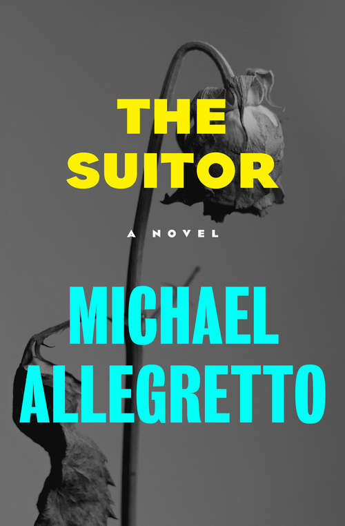 Book cover of The Suitor: A Novel