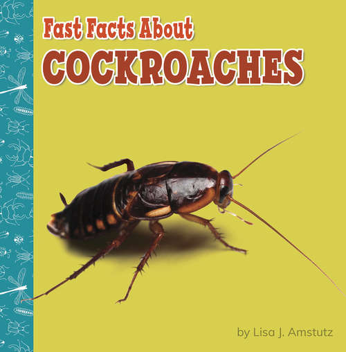 Book cover of Fast Facts About Cockroaches (Fast Facts About Bugs & Spiders)