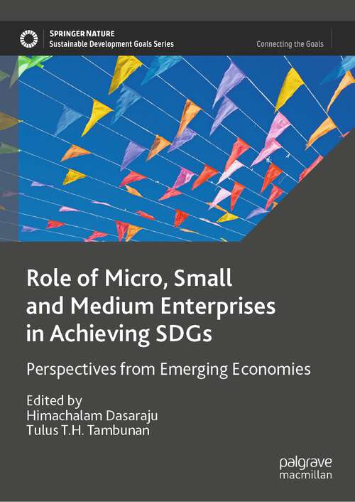 Book cover of Role of Micro, Small and Medium Enterprises in Achieving SDGs: Perspectives from Emerging Economies (1st ed. 2023) (Sustainable Development Goals Series)