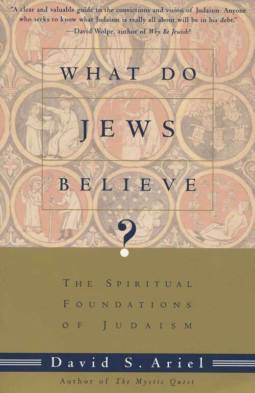 Book cover of What Do Jews Believe?: The Spiritual Foundations of Judaism