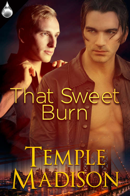 Book cover of That Sweet Burn