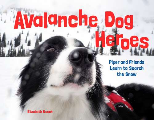 Book cover of Avalanche Dog Heroes: Piper and Friends Learn to Search the Snow