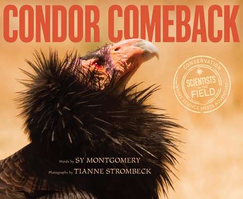Book cover of Condor Comeback (Scientists in the Field Series)