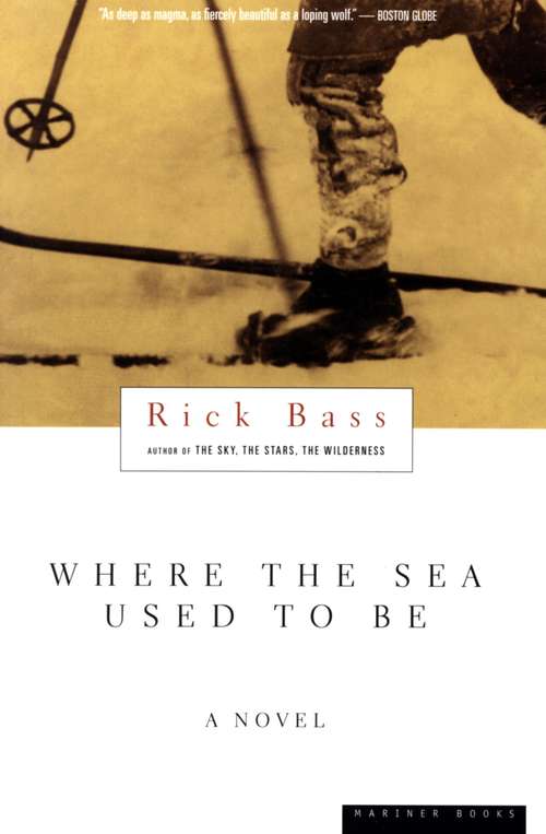 Book cover of Where The Sea Used To Be: A Novel
