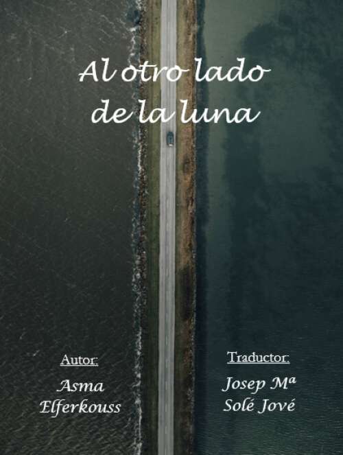 Book cover of Al otro lado de la luna