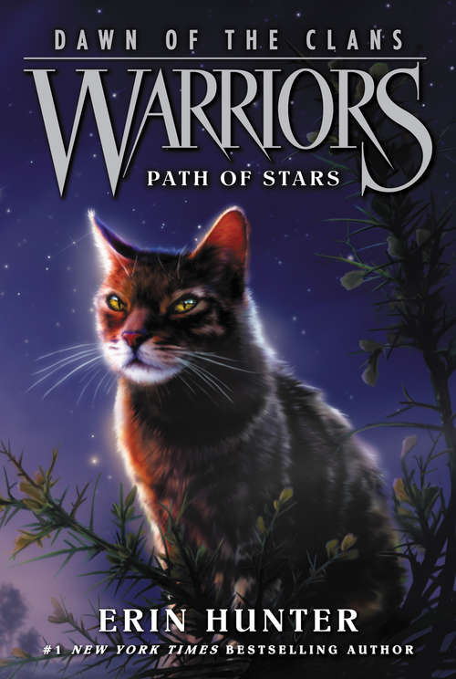 Book cover of Path of Stars (Warriors: Dawn of the Clans #6)