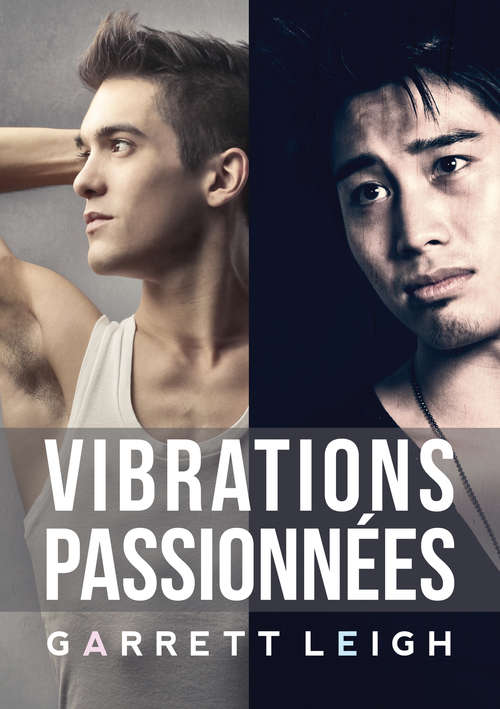 Book cover of Vibrations passionnées