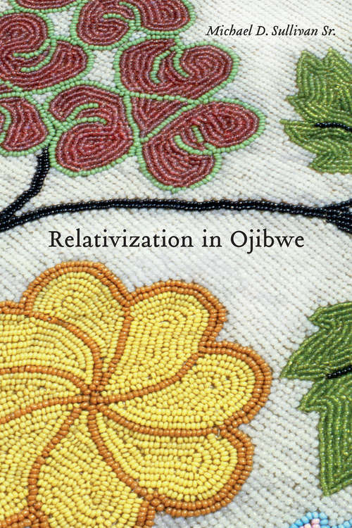 Book cover of Relativization in Ojibwe