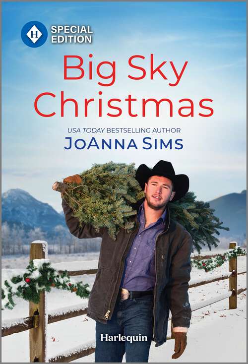 Book cover of Big Sky Christmas (Original) (The Brands of Montana #15)