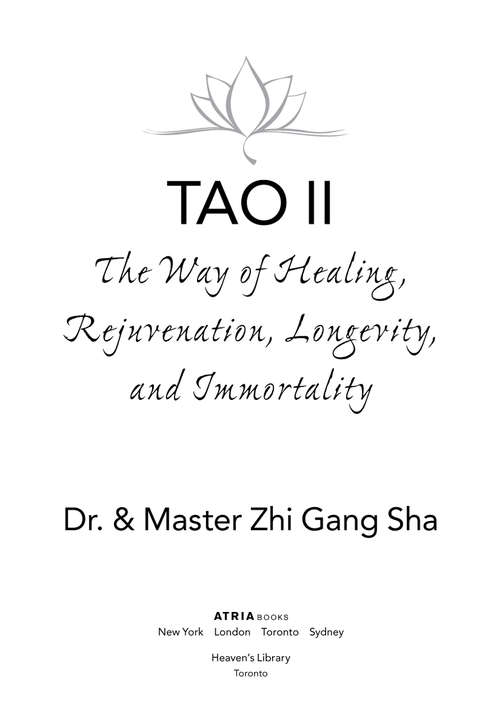 Book cover of Tao II