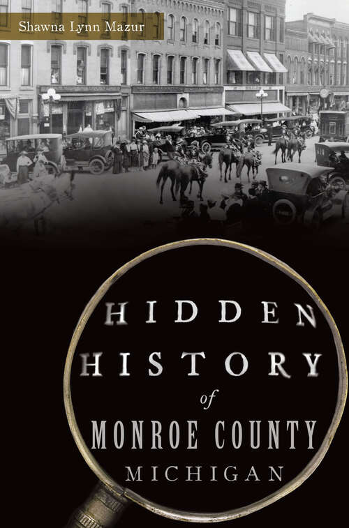 Book cover of Hidden History of Monroe County, Michigan (Hidden History)