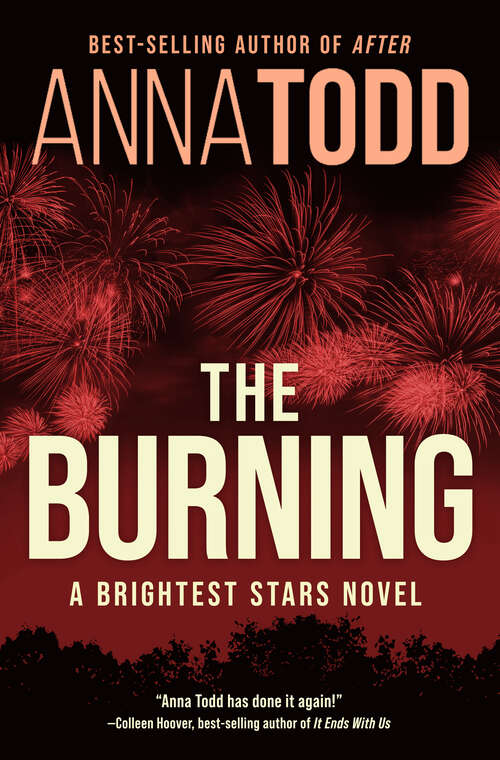 Book cover of The Burning