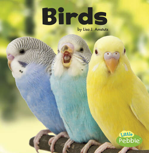 Book cover of Birds (Backyard Birds Ser.)