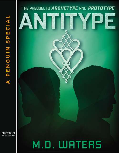 Book cover of Antitype