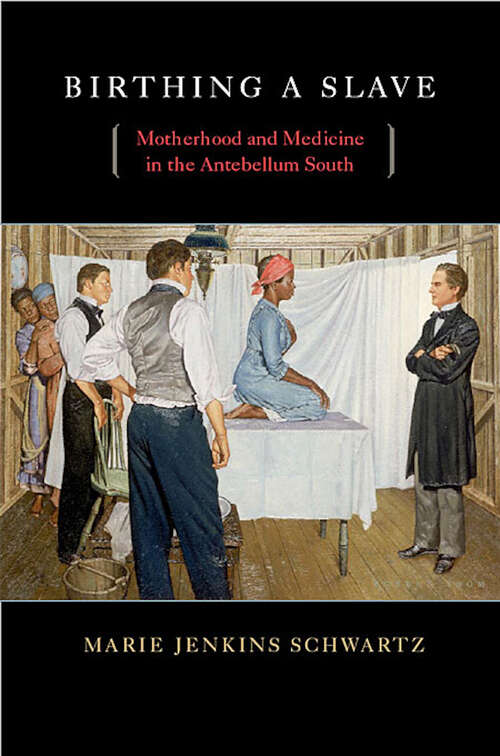 Book cover of Birthing a Slave: Motherhood and Medicine in the Antebellum South