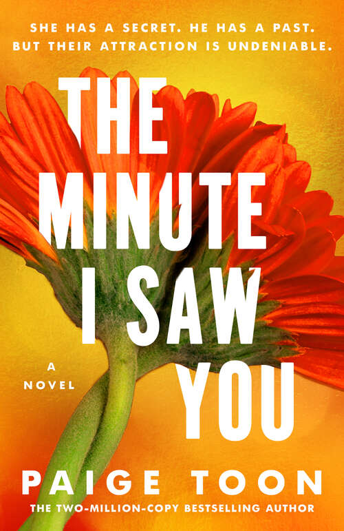 Book cover of The Minute I Saw You