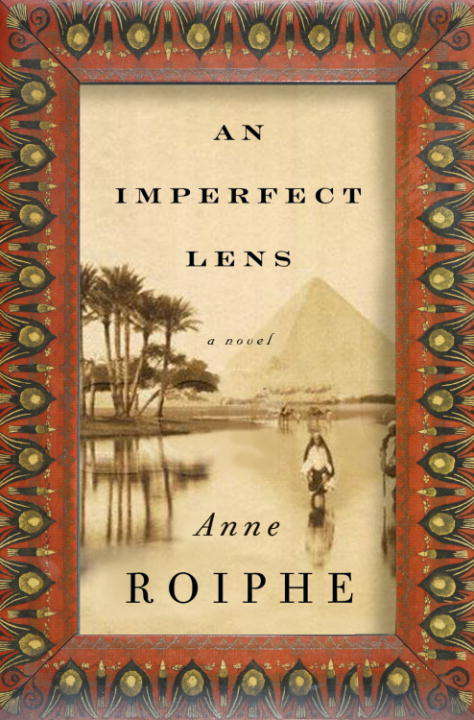 Book cover of An Imperfect Lens