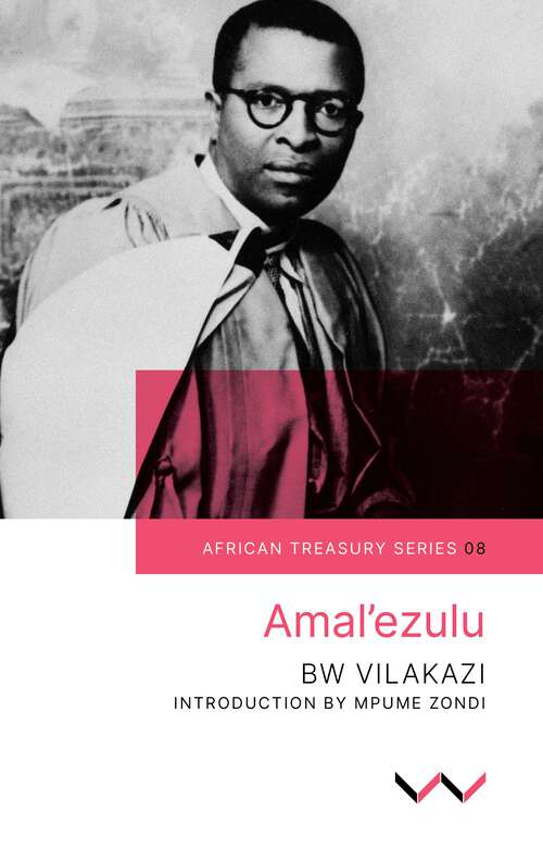 Book cover of Amal’ezulu