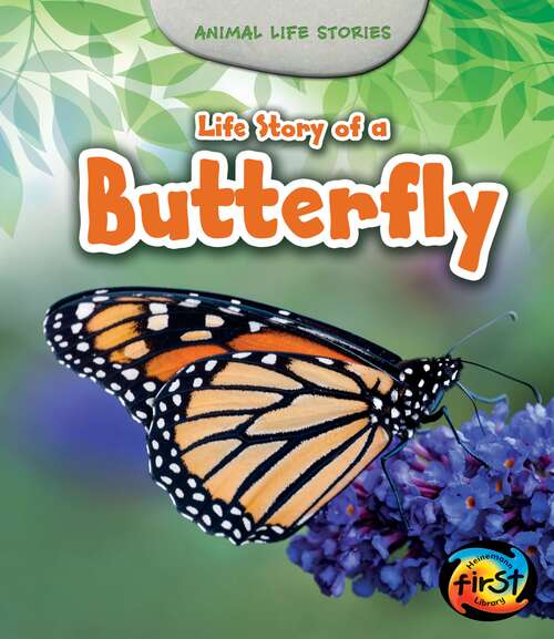 Book cover of Life Story of a Butterfly (Animal Life Stories Ser.)