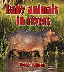 Book cover of Baby Animals in Rivers (Habitats of Baby Animals)