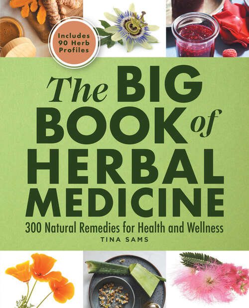 Book cover of The Big Book of Herbal Medicine: 300 Natural Remedies for Health and Wellness