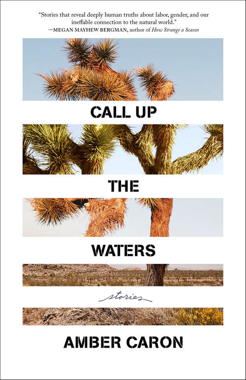 Book cover of Call Up the Waters: Stories