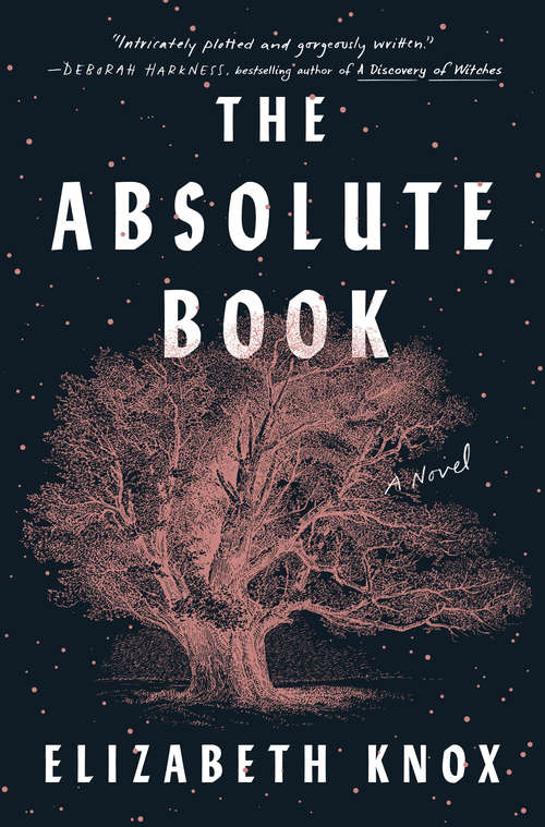 Book cover of The Absolute Book