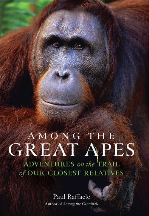 Book cover of Among the Great Apes: Adventures on the Trail of Our Closest Relatives