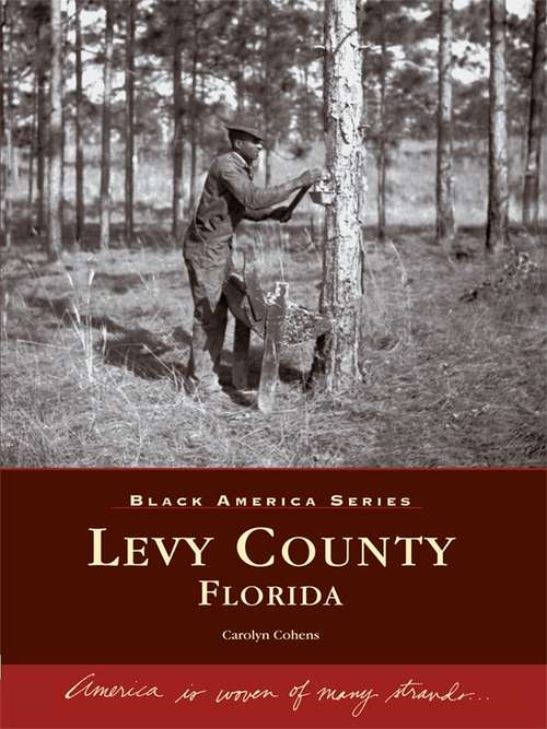 Book cover of Levy County, Florida (Black America Series)