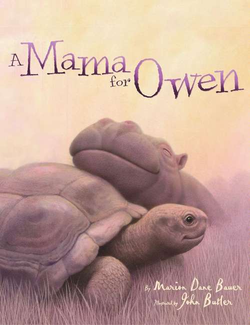 Book cover of A Mama for Owen