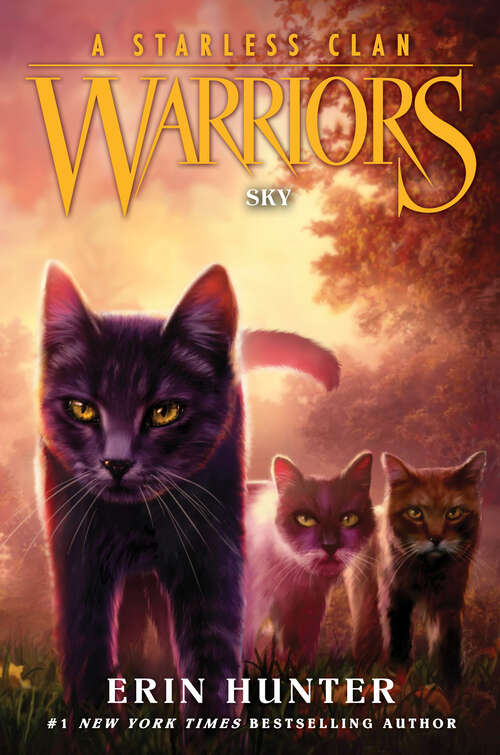 Book cover of Sky (Warriors: A Starless Clan #2)