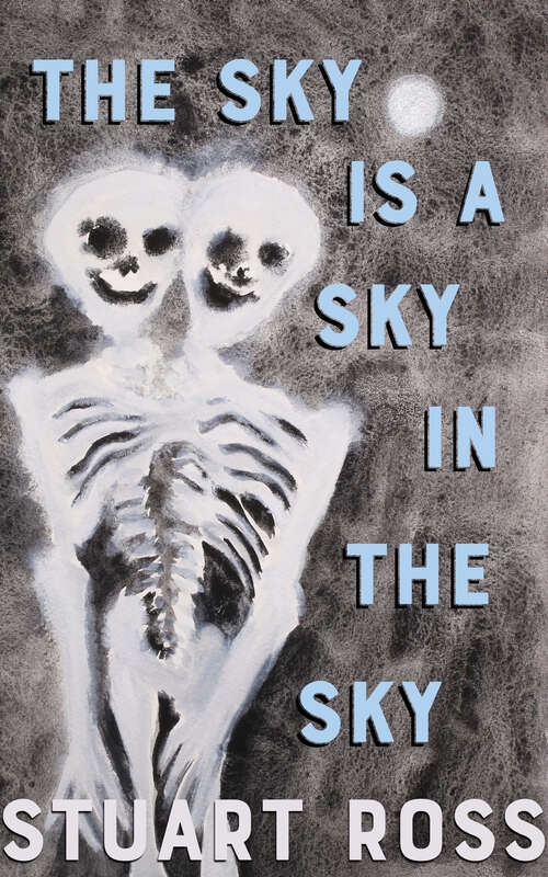 Book cover of The Sky is a Sky in the Sky