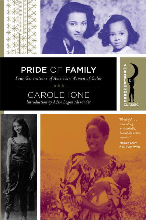 Book cover of Pride of Family