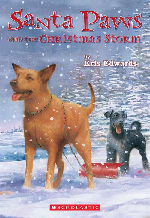 Book cover of Santa Paws and the Christmas Storm