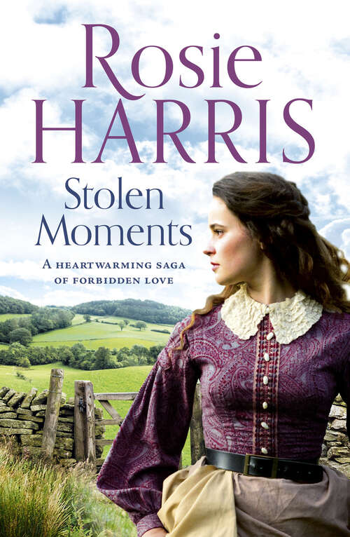 Book cover of Stolen Moments