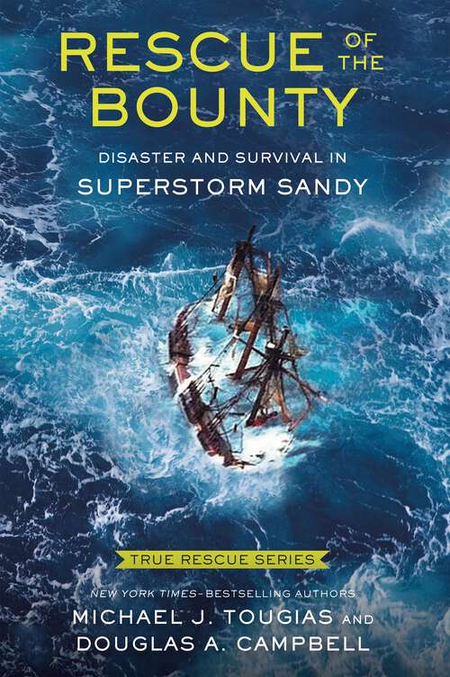 Book cover of True Rescue 6: Disaster and Survival in Superstorm Sandy (True Rescue Series)