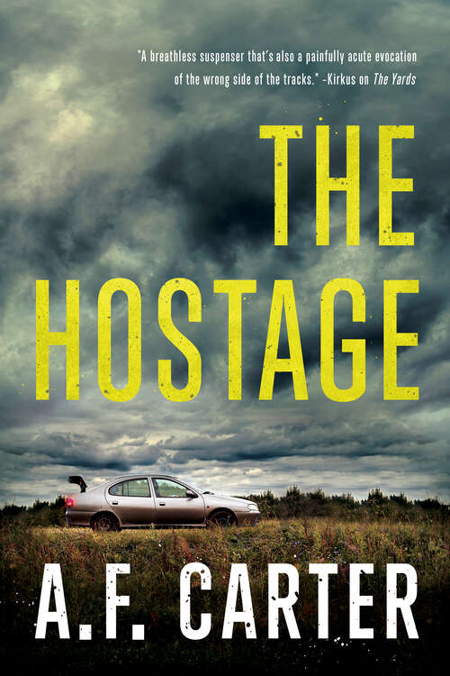 Book cover of The Hostage
